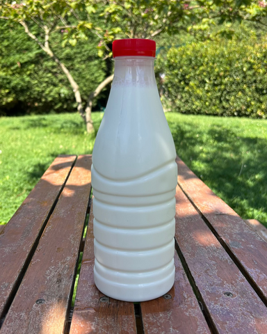 Doğal Manda Sütü (1 Lt)