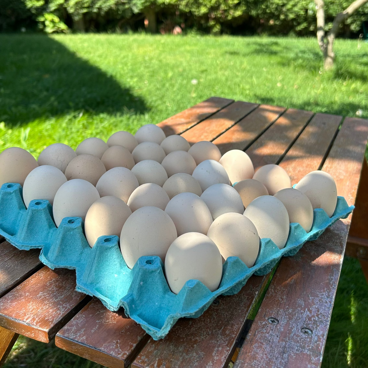 Doğal Tavuk Yumurtası (30 adet)